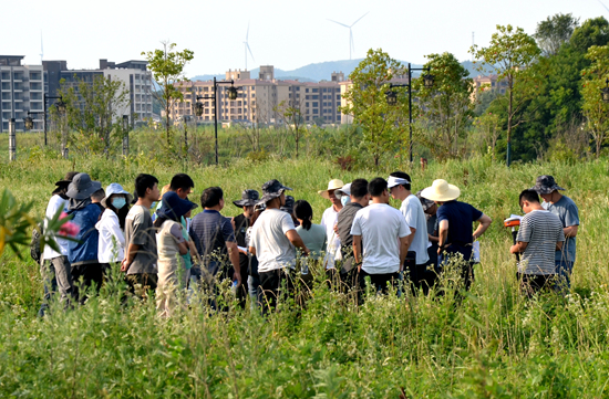 草地樣地現場_副本.jpg