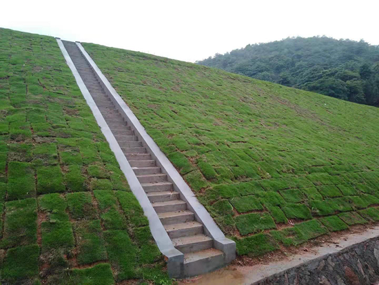 高標準農田1.jpg