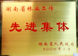 湖南省林業工作先進集體