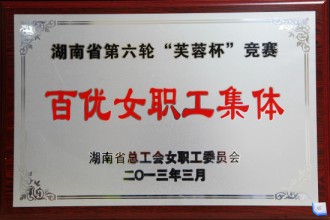 湖南省第六輪“芙蓉杯”競賽百優女職工集體