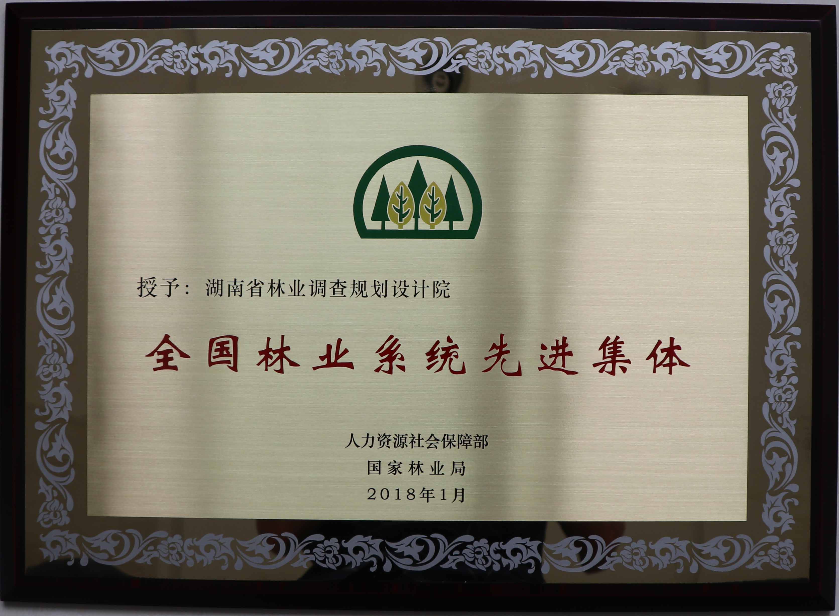 全國林業系統先進集體