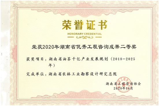 2020年湖南省優秀工程咨詢二等獎