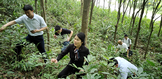 三亞森林資源調(diào)查督導(dǎo)2.jpg