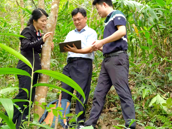 三亞森林資源調(diào)查督導(dǎo)1.jpg