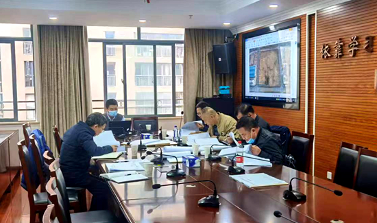 長沙智谷項目評審會_副本.jpg