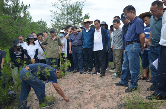 森林樣地現場教學1_副本.jpg