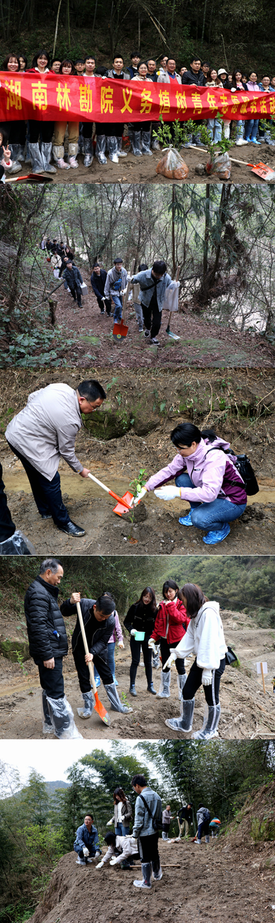 義務植樹拼接.jpg