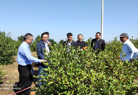 李志勇巡視員調研_副本.jpg 李志勇巡視員調研_副本.jpg
